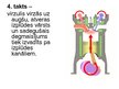 Prezentācija 'Tvaika un iekšdedzes dzinēji', 15.