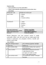 Biznesa plāns 'SIA “Tenso”', 4.