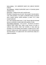 Biznesa plāns 'SIA “Tenso”', 7.