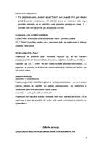 Biznesa plāns 'SIA “Tenso”', 9.