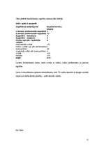 Biznesa plāns 'SIA “Tenso”', 13.