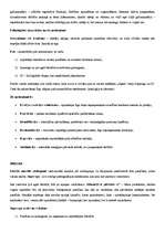 Konspekts 'Konspekts par Freidu', 3.