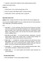 Konspekts 'Konspekts par Freidu', 4.