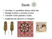 Prezentācija 'Senlatviešu reliģiskie uzskati', 6.