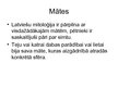 Prezentācija 'Senlatviešu reliģiskie uzskati', 11.