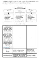 Biznesa plāns 'Biznesa plāns SIA “Romeo”', 7.