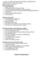 Biznesa plāns 'Biznesa plāns SIA “Romeo”', 13.