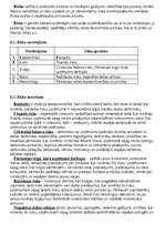 Biznesa plāns 'Biznesa plāns SIA “Romeo”', 14.