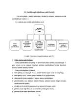 Referāts 'Valsts sociālas apdrošināšanas obligāto iemaksu uzskaite un kontrole SIA “X”', 13.