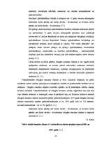 Referāts 'Valsts sociālas apdrošināšanas obligāto iemaksu uzskaite un kontrole SIA “X”', 20.