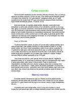 Referāts 'Latvijas daba', 1.