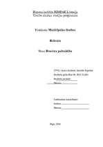 Referāts 'Brocēnu pašvaldība', 1.