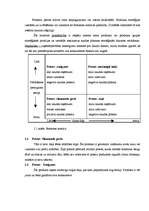 Referāts 'Preces dzīves cikls', 18.