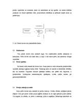 Referāts 'Preces dzīves cikls', 20.