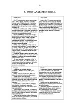 Referāts 'SIA "X" mēbeļu salona tirgus izpēte', 10.