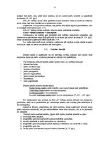 Referāts 'SIA "X" mēbeļu salona tirgus izpēte', 13.