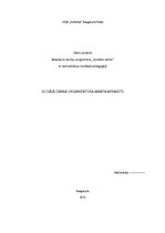 Paraugs 'Sociālā darba organizatora amata apraksts', 1.