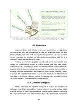 Diplomdarbs 'Regulējams šūpuļkrēsls', 91.