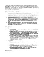 Konspekts 'Noras Ikstenas romāns "Mātes piens"', 5.