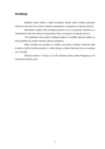 Diplomdarbs 'Ultraskaņas iekārtas novecošanas ietekme uz attēla kvalitāti', 2.