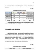 Referāts 'Transporta ekspluatācijas izmaksu samazināšanas iespējas tirdzniecības uzņēmumā', 19.