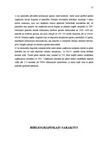 Referāts 'Transporta ekspluatācijas izmaksu samazināšanas iespējas tirdzniecības uzņēmumā', 31.