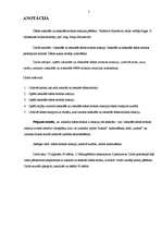 Referāts 'Iztekošās un ietekošās ūdens strūklas reakcijas pētīšana', 3.