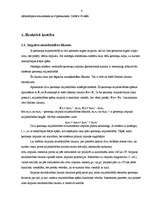 Referāts 'Iztekošās un ietekošās ūdens strūklas reakcijas pētīšana', 6.