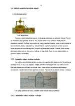 Referāts 'Iztekošās un ietekošās ūdens strūklas reakcijas pētīšana', 12.