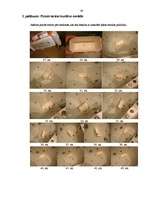 Referāts 'Iztekošās un ietekošās ūdens strūklas reakcijas pētīšana', 29.