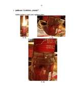 Referāts 'Iztekošās un ietekošās ūdens strūklas reakcijas pētīšana', 31.