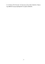 Referāts 'Salvadoras pilsoņu karš 1979.-1992.gadā', 17.