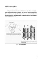 Referāts 'Zobu pasta un zobu pastu daudzveidība veikalos', 5.