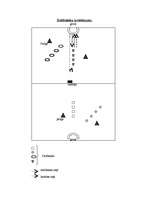 Konspekts 'Sacensības ar metieniem grozā', 2.