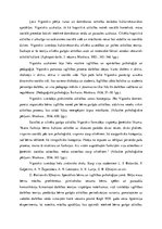 Eseja 'Ļeva Vigotska koncepcijas un viņa skolēnu ieguldījums attīstības psiholoģijā', 2.