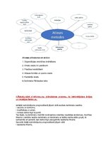 Konspekts 'Cilvēkresursu vadība un attīstība', 12.