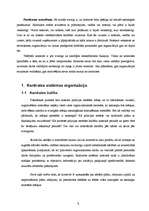 Referāts 'Kontrole', 5.