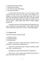 Referāts 'Kontrole', 7.