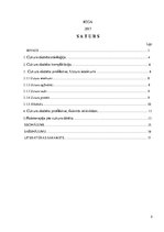 Referāts 'Nemedikamentozas ārstēšanas ietekme uz cukura diabēta slimniekiem', 2.