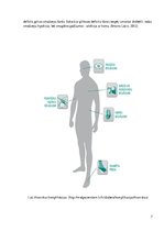 Referāts 'Nemedikamentozas ārstēšanas ietekme uz cukura diabēta slimniekiem', 7.