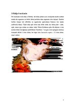 Referāts 'Sūkļi', 5.