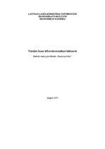 Referāts 'Naudas loma kiberekonomikas laikmetā', 1.