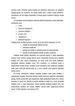 Referāts 'Naudas loma kiberekonomikas laikmetā', 9.