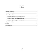 Referāts 'Satiksmes vadības sistēma', 2.