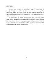 Referāts 'Satiksmes vadības sistēma', 11.