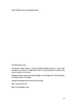 Konspekts 'Emīlis Melgailis', 26.