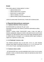 Referāts 'Uzņēmuma SIA "Metālkalējs" darbības aktivitātes analīze', 4.