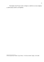 Referāts 'Kibertehniskās ekspertīzes noteikšanas pamats, nosacījumi un problēmas pirmsties', 13.