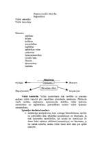 Referāts 'Igaunijas Republikas konstitucionālā iekārta', 4.