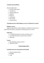 Konspekts 'Nesagraujošās kontroles metodes - visi laboratorijas darbi', 30.